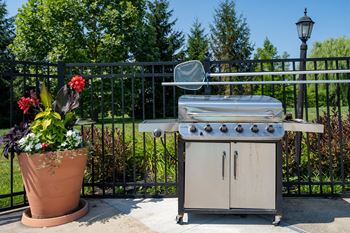 Picnic & grilling area